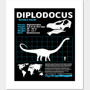 Diplodocus Fact Sheet Posters and Art